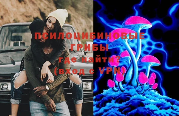 первитин Алексин