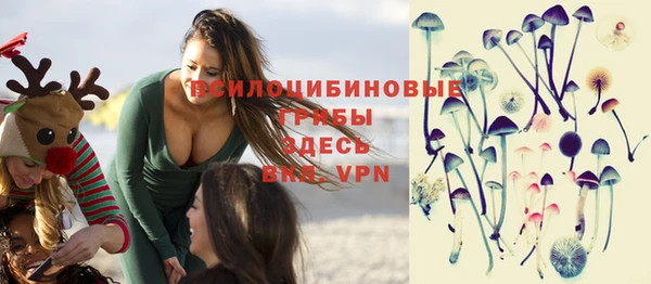 таблы Алзамай
